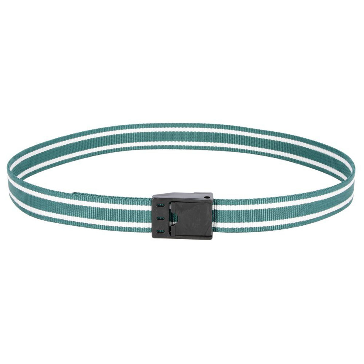 25749260AZt5x6ojDKq34 Halsmarkierungsband mit Klemmverschluss 130cm grün / weiß