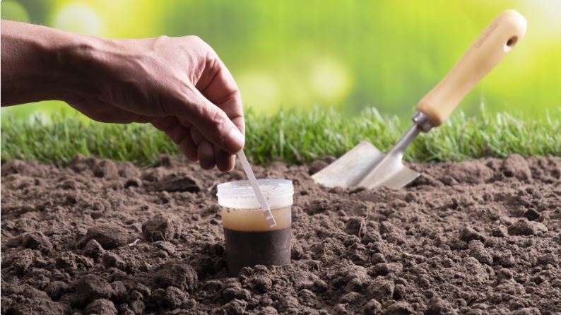 Bodenanalyse Test-Set 2in1 | für Garten und Rasen | Cuxin DCM