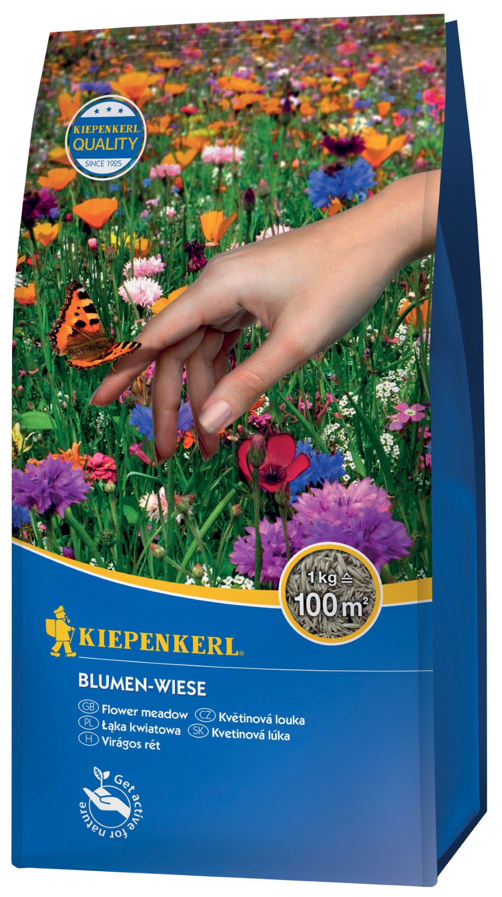 Blumen-Wiese 1 kg | Blühmischung | Kiepenkerl