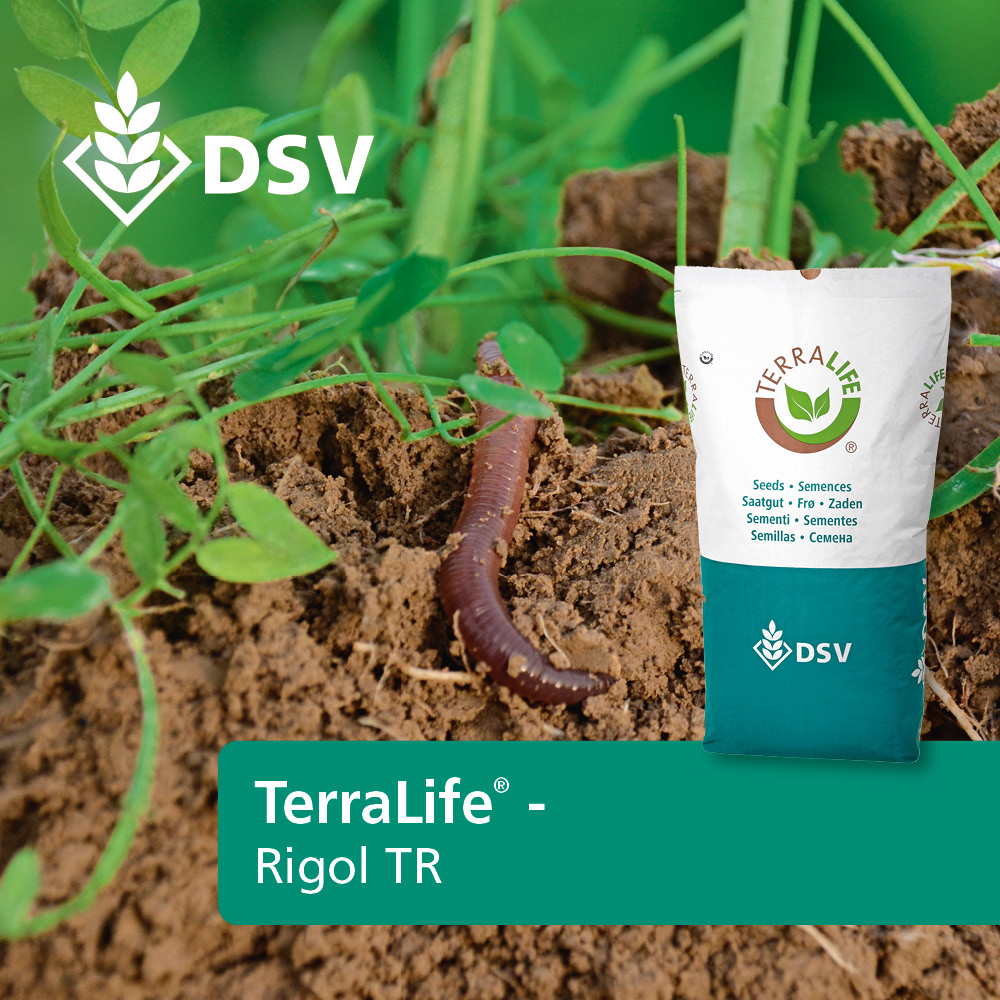 DSV TerraLife® Rigol TR