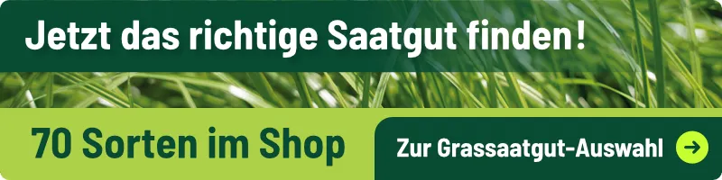 Nicht das Richtige gefunden ? Weiter zur Grassaatgut-Auswahl