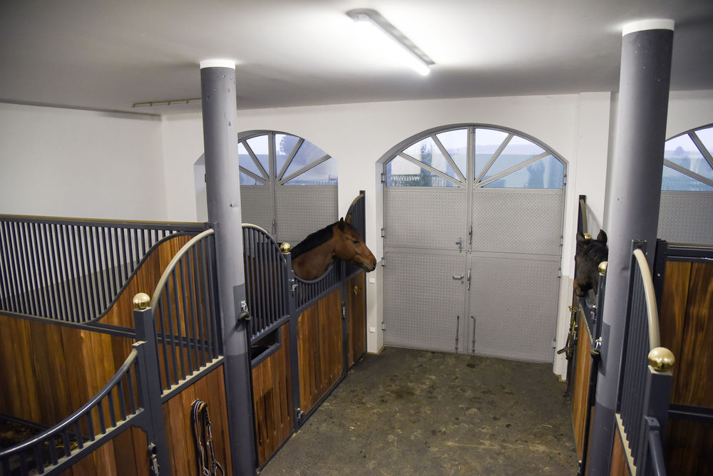 25748527-2 Außenkamera IPCam 360 RC/HD mit 4 fach optischer Zoom Stallkamera