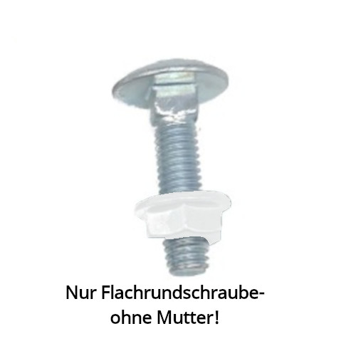 Flachrundschraube M6x25, 8.8 DIN 603 für Bürstenringklammer t=1,5mm
