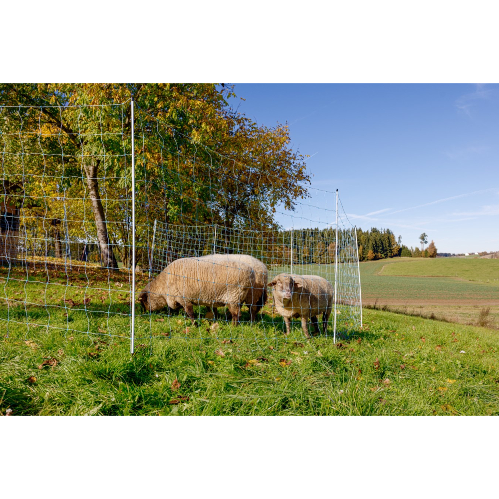 AKO OviNet 170 | 25 m x 170 cm | blau-weiß | Doppelspitze