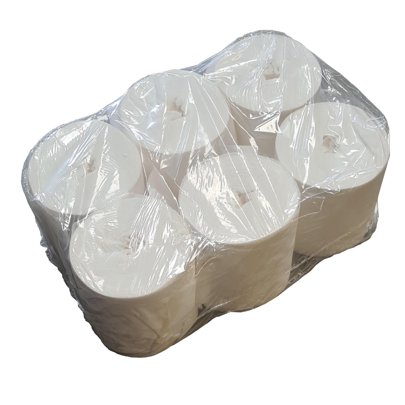 25701180 Euterpapier Platinum 6x350 Blatt