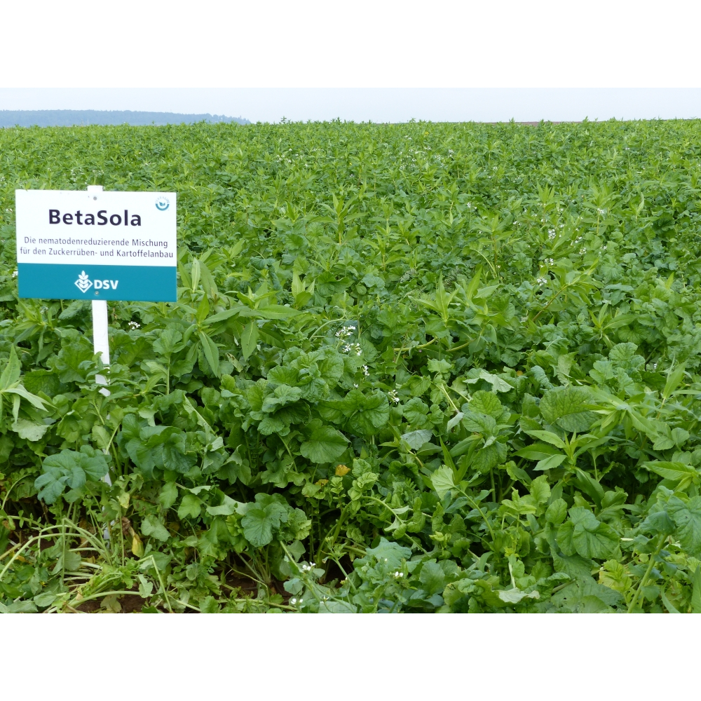 DSV TerraLife® BetaSola