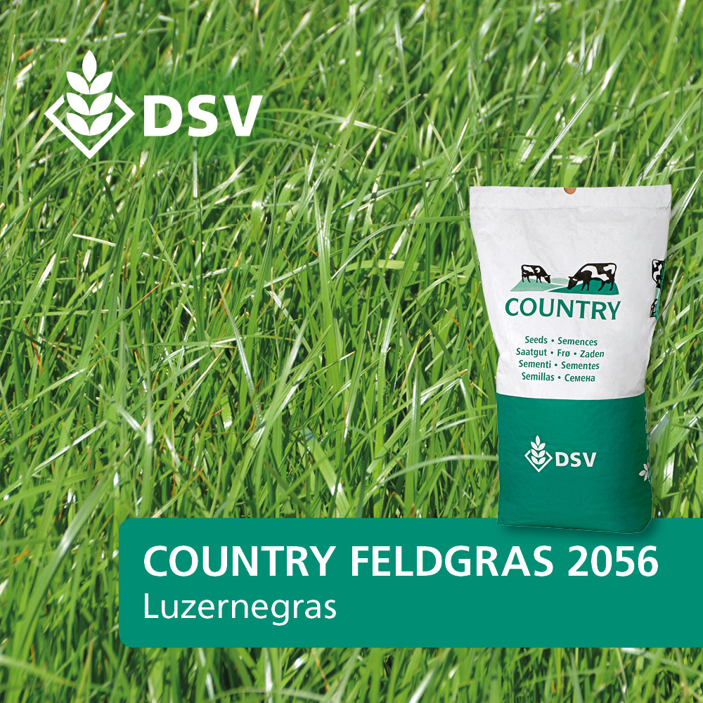 DSV Country Feldgras 2056