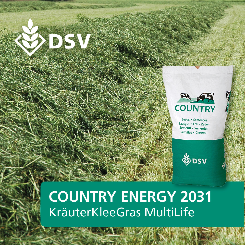 DSV Country Energy 2031