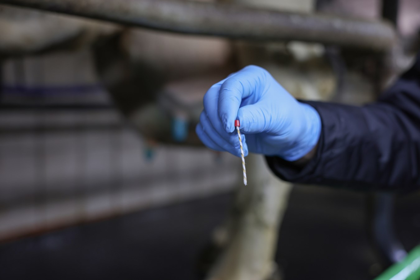 Zitzenstift - Dilatationsstift zum Einlegen in den Strichkanal in der Dose mit Vaseline abgebildet grössenvergleich mit Hand abgebildet