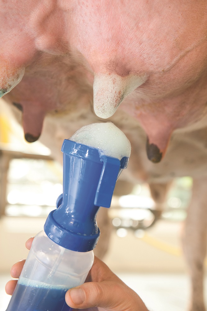 25702709 Boumatic HEXIFOAM 20KG