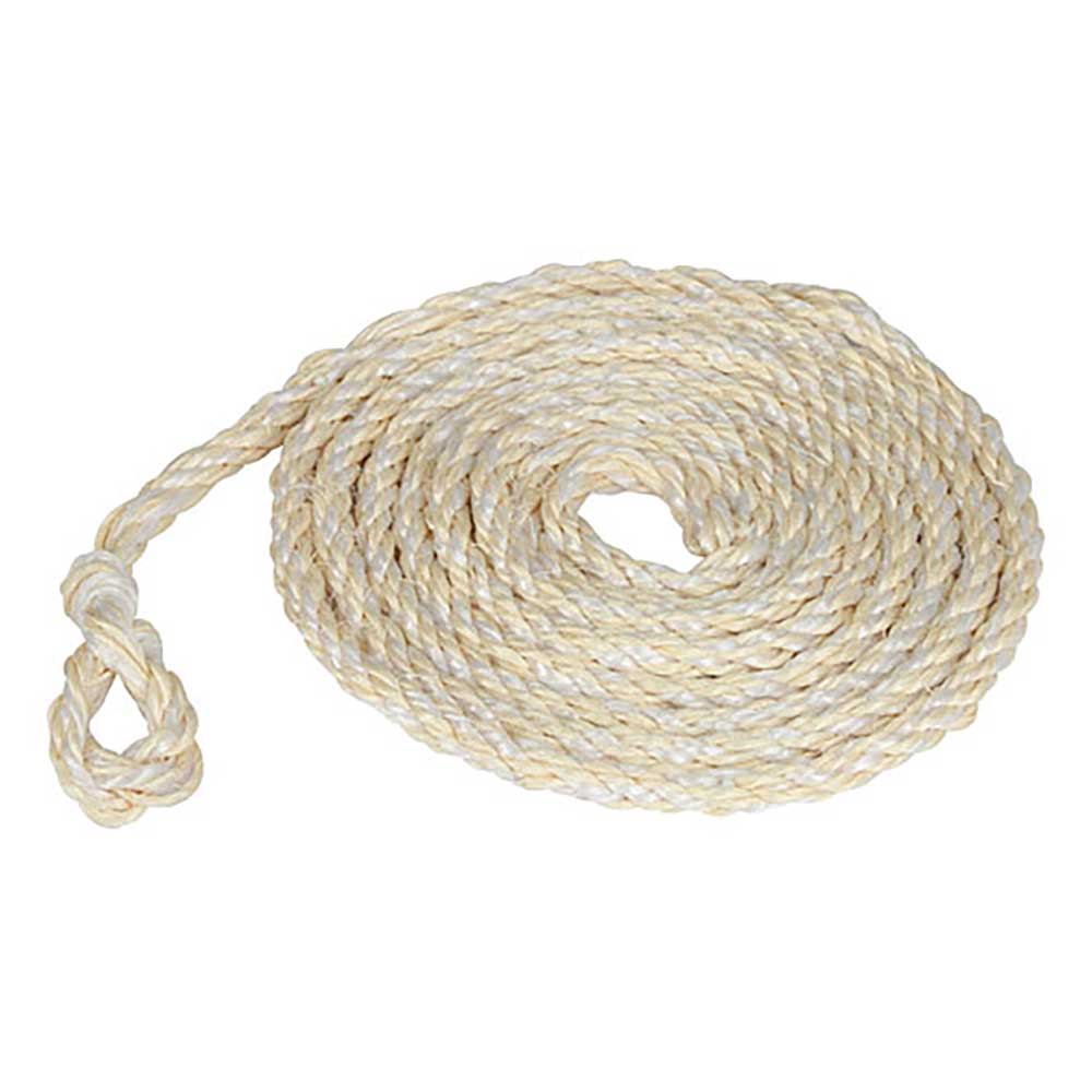 704884 Transportstrick Großvieh Kühe Rinder