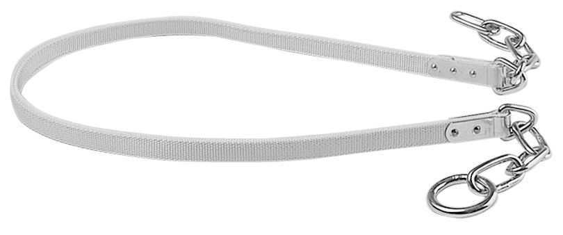 Geflügelnetz 50 m. 106 cm Doppelspitze grün