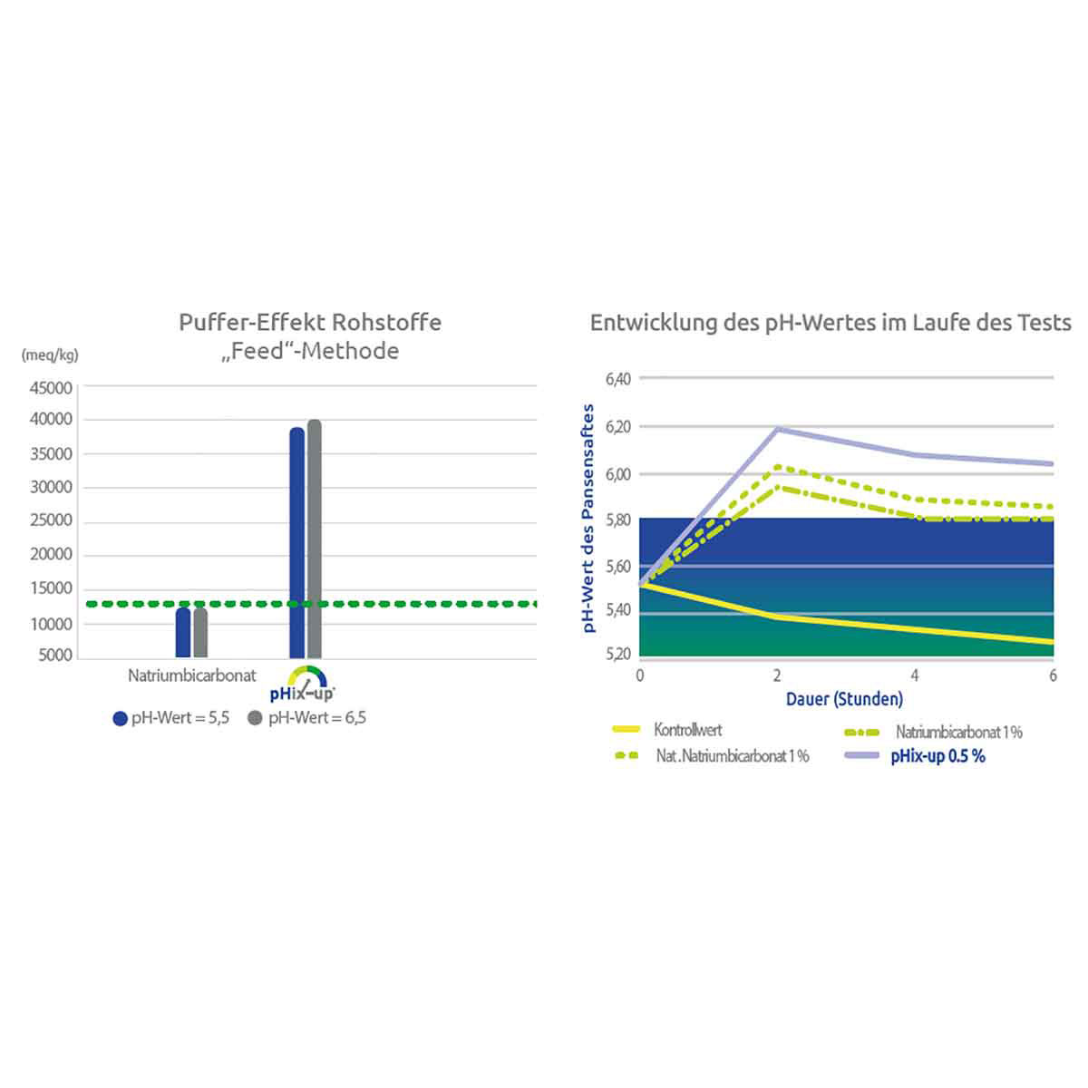 70055000-2 pHix-up 25 kg für den Pansen von Milchvieh