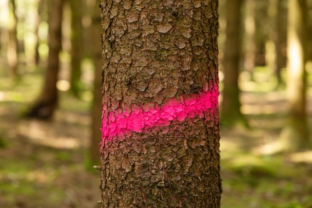 70510998-1 Markierungsspray Forst und Bau Neon pink 500 ml