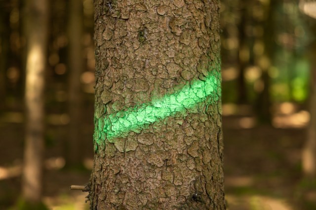 Markierungsspray Forst und Bau Neon grün 500 ml