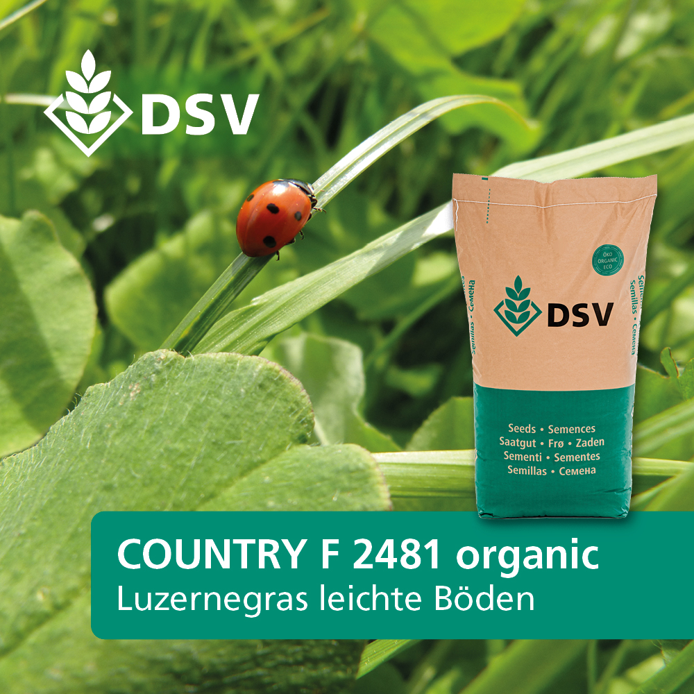 DSV Country Feldgras F 2481 Organic