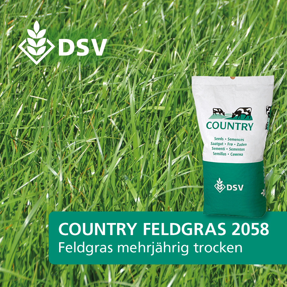 DSV Country Feldgras 2058