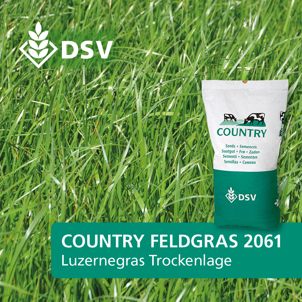 DSV Country Feldgras 2061