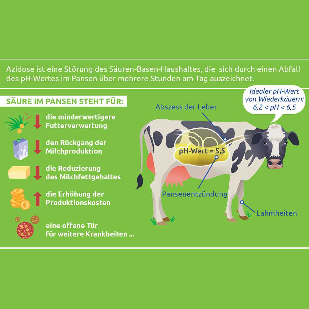 70055000-1 pHix-up 25 kg für den Pansen von Milchvieh