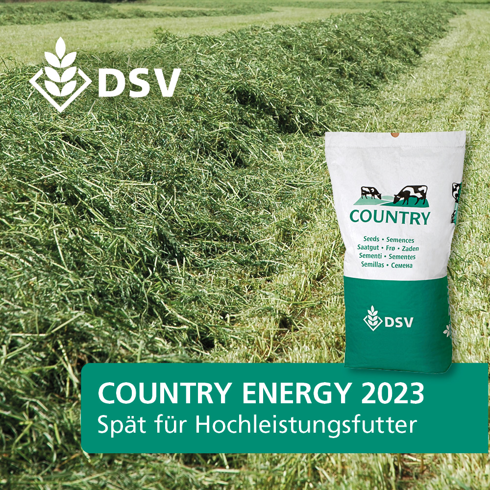 DSV Country Energy 2023