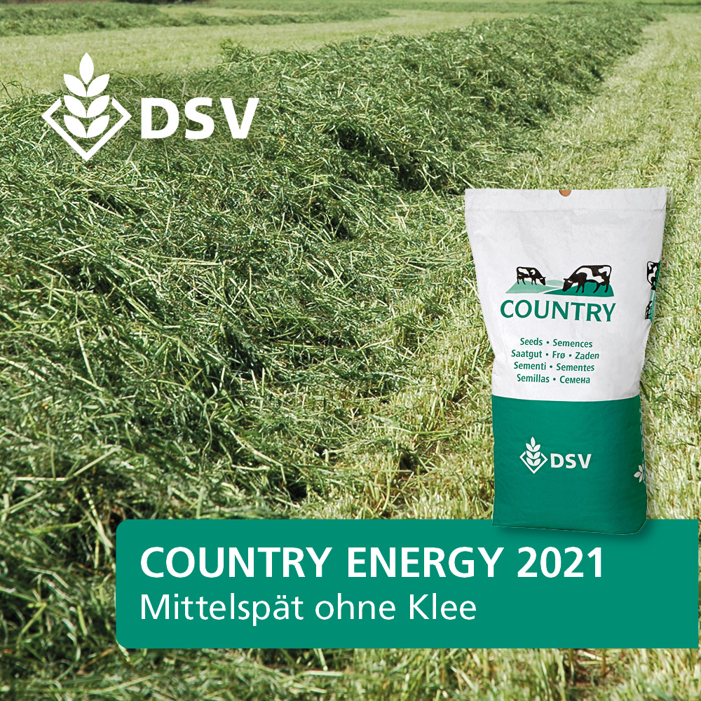 DSV Country Energy 2021