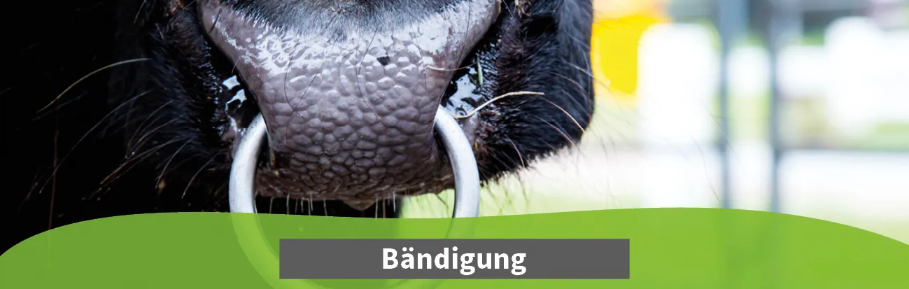 Titelbilder KategorienTierwelt_Bändigung