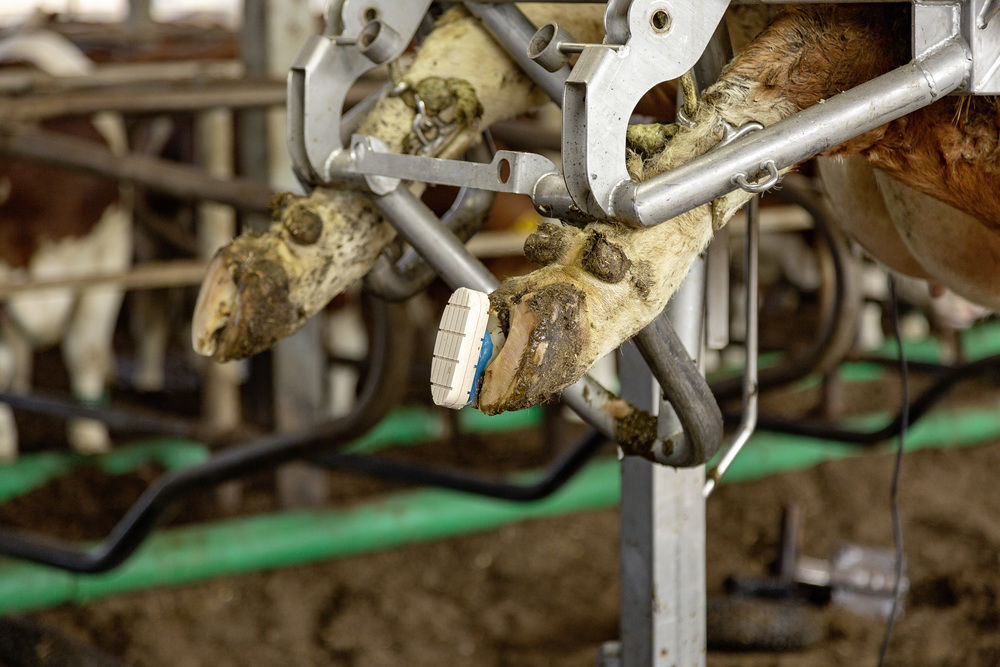 25748504-2 Ultimativer Zweikomponentenkleber für die professionelle Anwendung