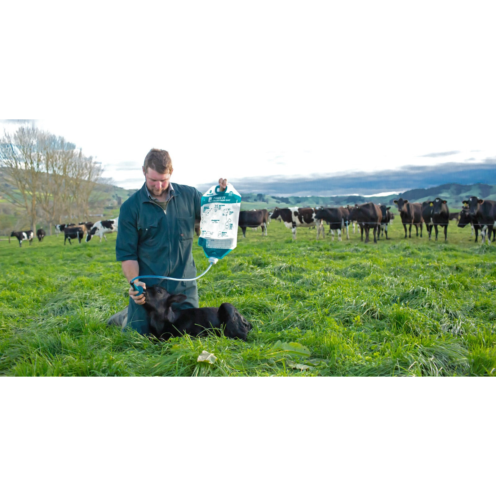 Kerbl Kolustrumbeutel 4 Liter