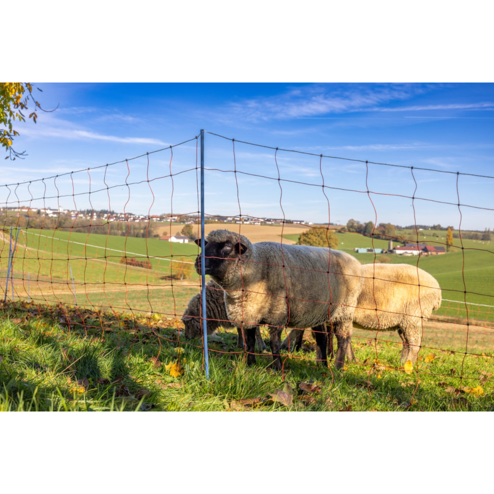 OviNet Premium | 50 m x 90 cm Weidezaun