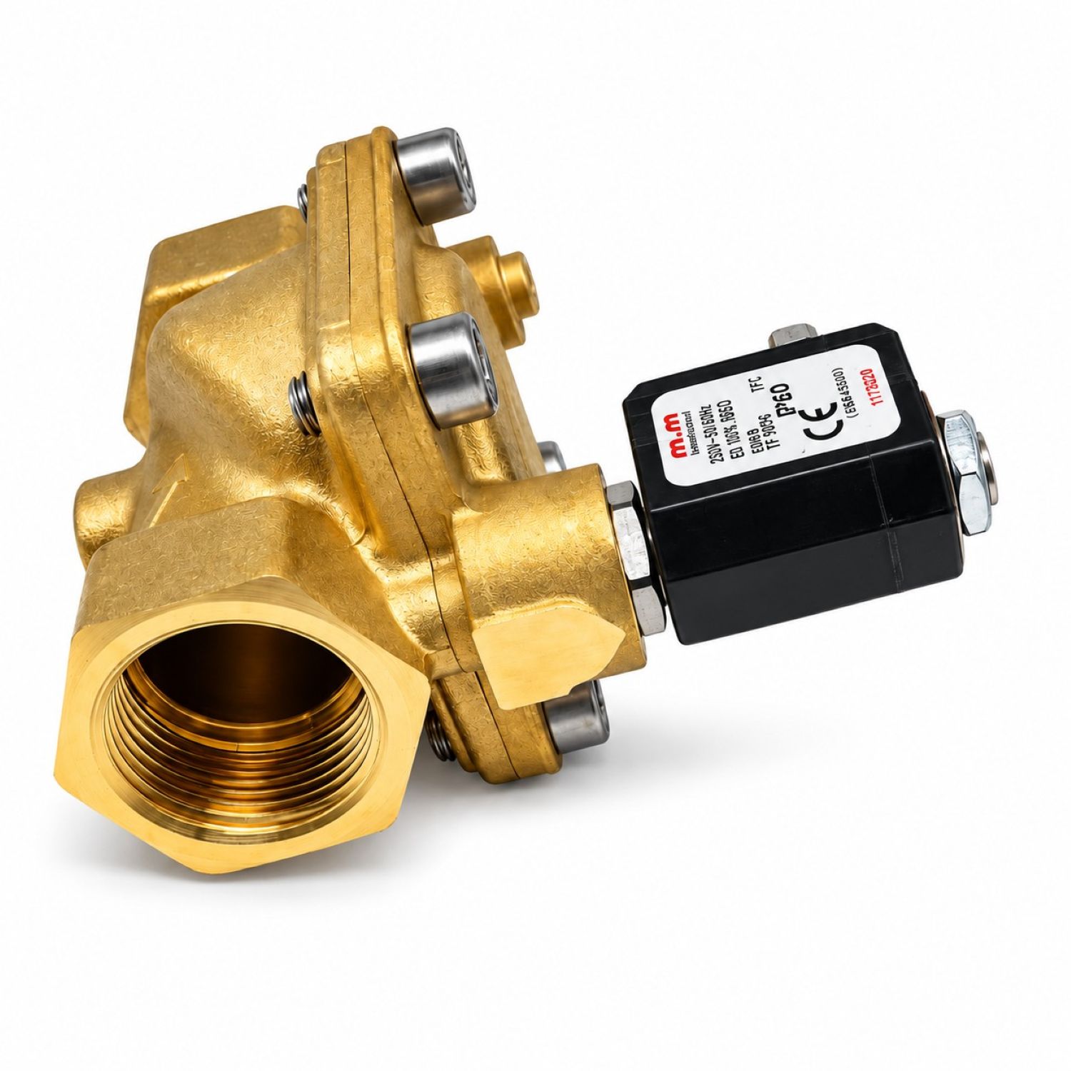 Magnetventil 1" 220V 50HZ Wasserventil | Dairymaster