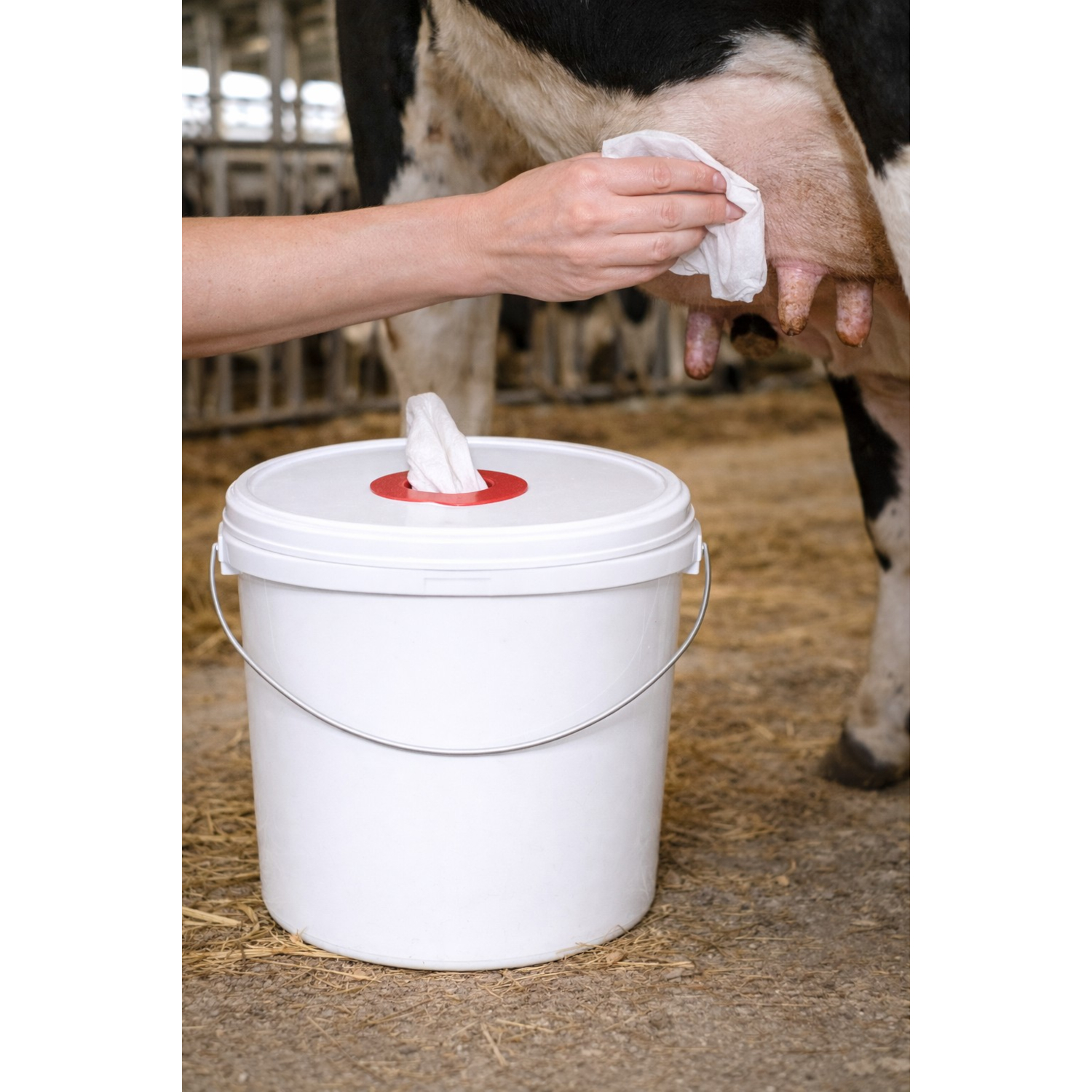 Feuchttuch-Eimer JET P | 10,7 L | Eurocell