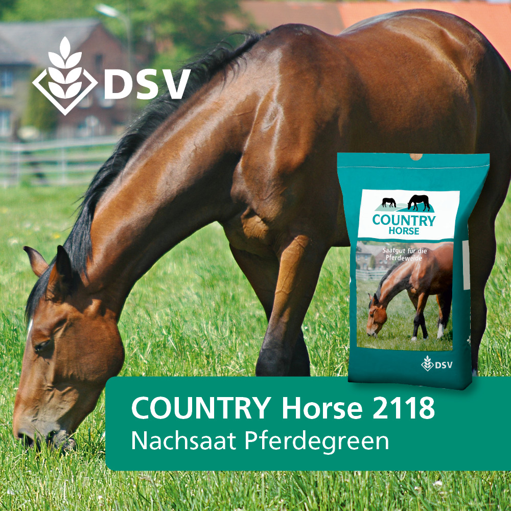 DSV Country Horse 2118