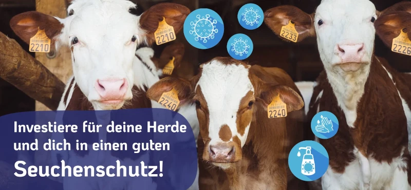 Seuchenschutz gegen MKS und andere Viren Seuchenschutz gegen MKS und andere Viren