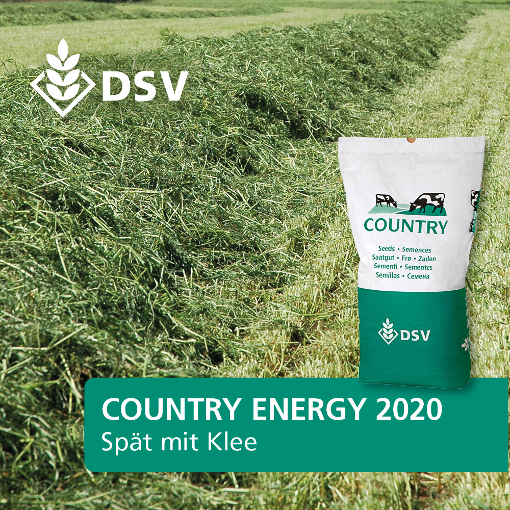 DSV Country Energy 2020