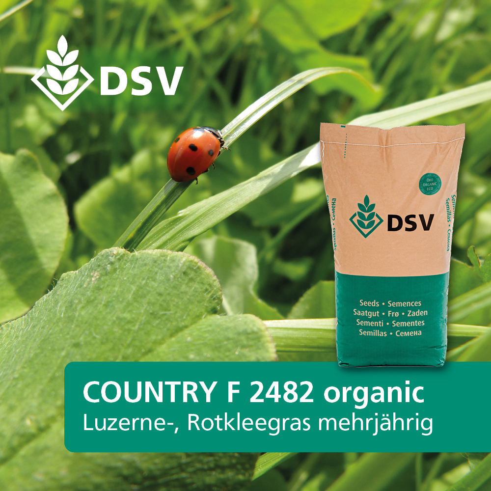 DSV Country Feldgras F 2482 Organic
