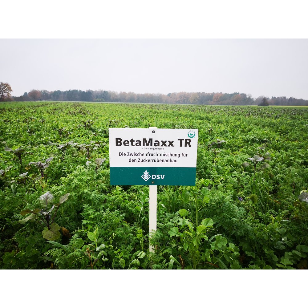 DSV TerraLife® BetaMaxx TR