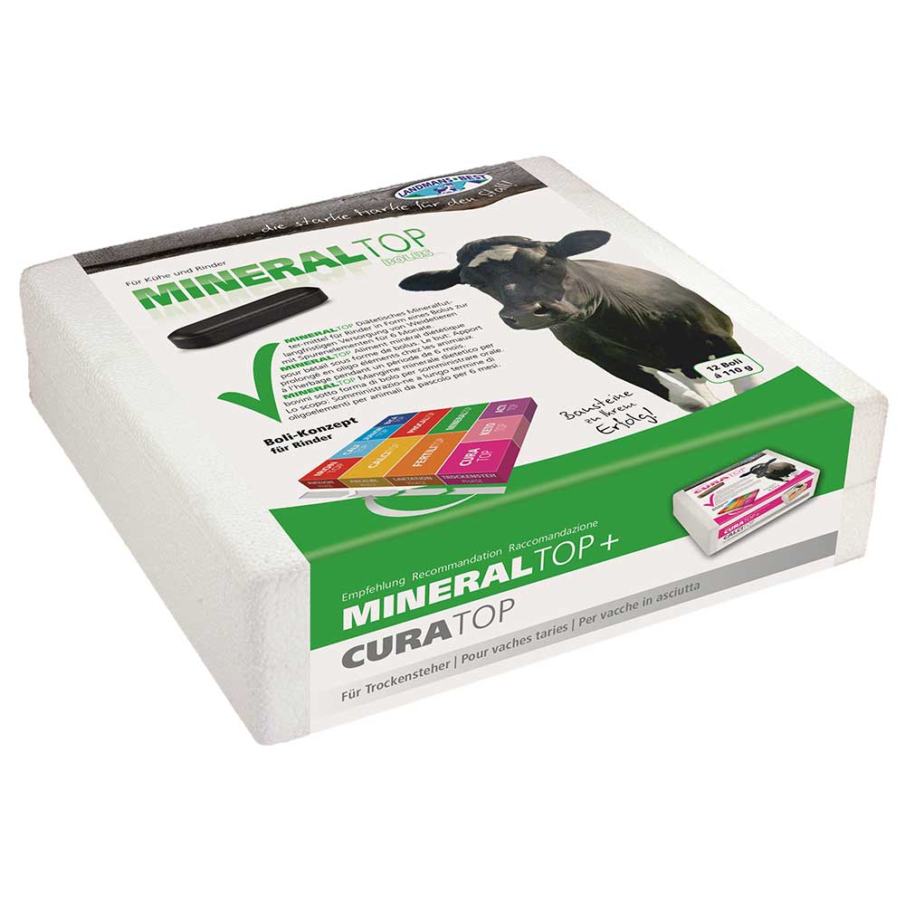 70228600 Mineraltop-Boli Pack 12 St.