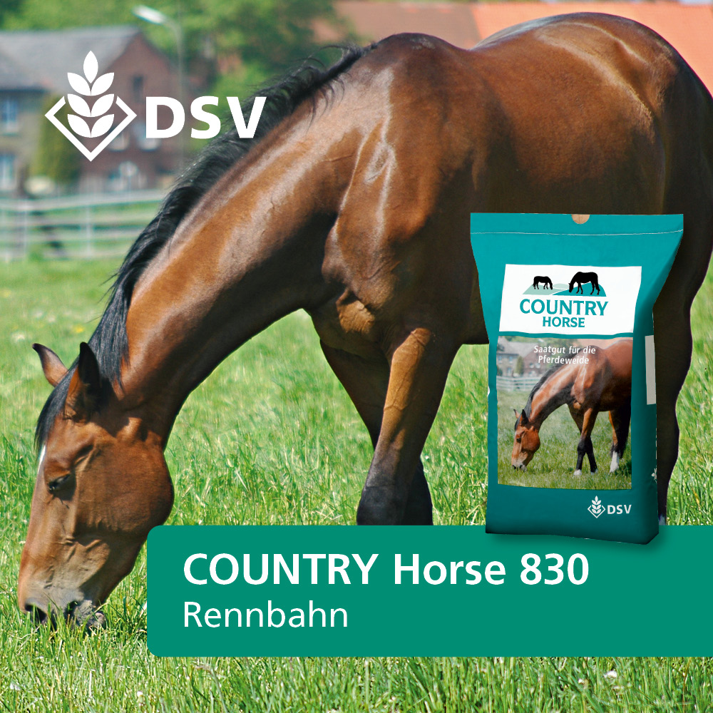 DSV Country Horse 830