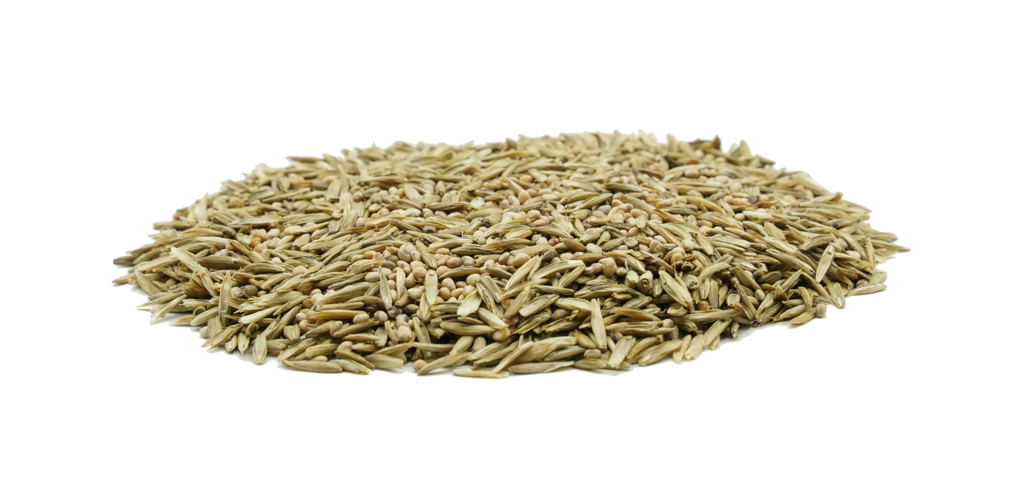DSV Country Feldgras F 2480 Organic