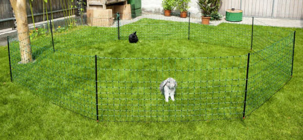 Kaninchennetz 50m, 65cm Einzelspitze, grün