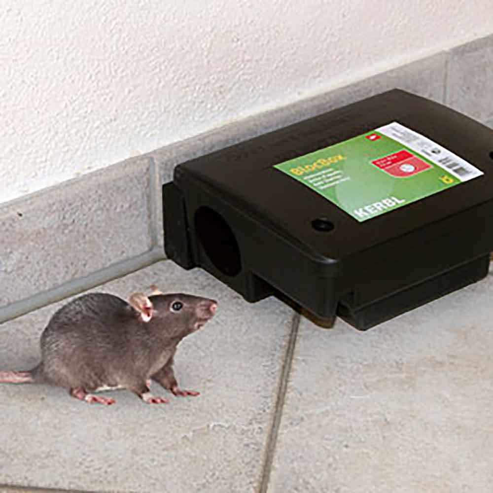 Rattenköderbox Beta Kunststoff, Ratten + Mäuse, Schädlings +  Ungeziefermittel, Haus + Garten