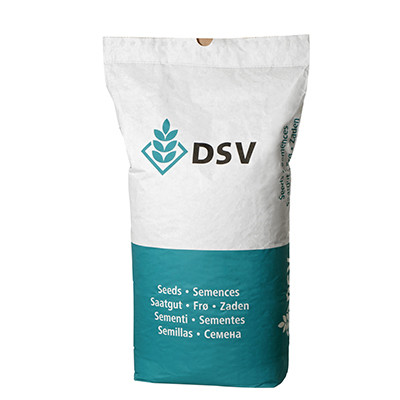 DSV 230 Spielrasen (RSM 2.3) Rasensamen